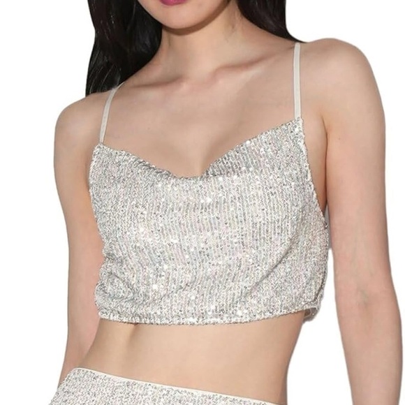 Walter Baker Tops - Walter Baker Silver Sequin Cynthia Crop Top size XS